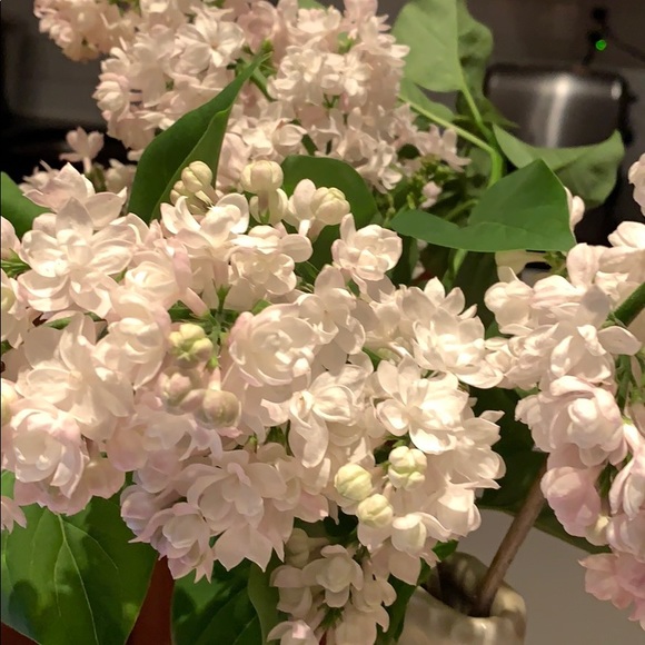 Meet your Posher, Eric - Picture 1 of 1